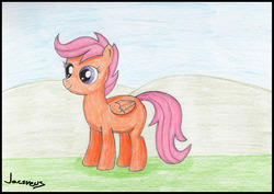 Size: 3309x2343 | Tagged: safe, artist:jacsveus, scootaloo, g4, female, high res, solo, traditional art