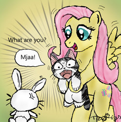 Size: 900x907 | Tagged: safe, artist:teagigs, angel bunny, fluttershy, cat, g4, chi, chi's sweet home, crossover