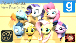 Size: 1360x768 | Tagged: safe, artist:benno950, applejack, fluttershy, pinkie pie, rainbow dash, rarity, twilight sparkle, g4, 3d, body parts, gmod, head, mane six