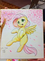 Size: 1024x1365 | Tagged: safe, artist:kmart0614, fluttershy, g4, female, solo, traditional art