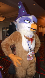 Size: 735x1280 | Tagged: safe, artist:gilda, artist:neouka, artist:spainfischer, gilda, griffon, g4, 2014, accessory swap, convention, cosplay, element of loyalty, everfree northwest, fursuit, irl, photo, solo, sydneyroo(coser), trixie's hat