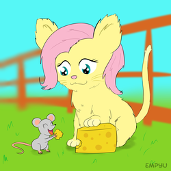 Size: 1000x1000 | Tagged: safe, artist:empyu, fluttershy, cat, mouse, g4, :3, catified, cheese, female, fluttercat, sitting, solo, species swap