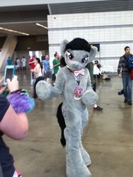Size: 360x480 | Tagged: safe, octavia melody, g4, cosplay, fursuit, irl, photo