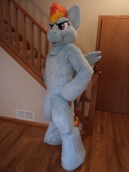 Size: 500x667 | Tagged: safe, artist:pwsuits, rainbow dash, human, g4, cosplay, fursuit, irl, irl human, photo, solo