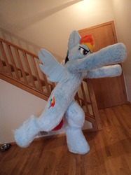 Size: 500x667 | Tagged: safe, artist:pwsuits, rainbow dash, human, g4, cosplay, fursuit, irl, irl human, photo, solo