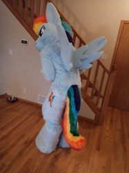 Size: 500x667 | Tagged: safe, artist:pwsuits, rainbow dash, human, g4, cosplay, fursuit, irl, irl human, photo, solo