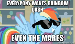 Size: 500x293 | Tagged: safe, screencap, rainbow dash, g4, exploitable meme, female, meme, memegenerator, solo, sunglasses