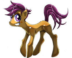 Size: 1000x800 | Tagged: safe, artist:pinkpandaberry, scootaloo, g4, female, solo