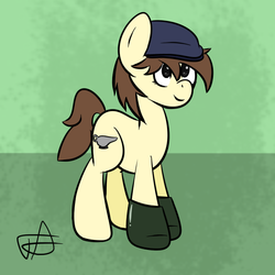 Size: 720x720 | Tagged: safe, artist:toxxicart, oc, oc only, oc:pit pone, boots, color, digital art, hat, solo, tablet, tumblr