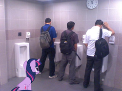 Size: 640x480 | Tagged: safe, edit, twilight sparkle, human, pony, unicorn, g4, bathroom, female, for science, implied pissing, irl, irl human, mare, photo, ponies in real life, urinal, wat