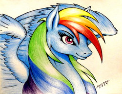 Size: 3189x2452 | Tagged: safe, artist:kevinthecrushinator, rainbow dash, g4, female, high res, solo, traditional art