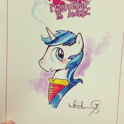 Size: 640x640 | Tagged: safe, artist:katie cook, shining armor, g4, male, solo, traditional art