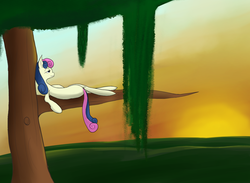 Size: 1112x814 | Tagged: safe, artist:tenenbris, bon bon, sweetie drops, g4, female, solo, sunset, tree