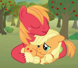 Size: 600x530 | Tagged: safe, artist:thecat101, applejack, big macintosh, earth pony, pony, g4, male, sad, stallion