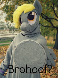 Size: 1200x1600 | Tagged: safe, artist:tinderboxer, derpy hooves, human, g4, cosplay, fursuit, irl, irl human, photo