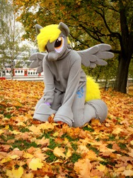 Size: 1200x1600 | Tagged: safe, artist:tinderboxer, derpy hooves, human, g4, clothes, cosplay, costume, furry, fursuit, irl, irl human, leaves, photo