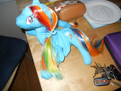 Size: 4000x3000 | Tagged: safe, artist:ilovezsora, rainbow dash, g4, irl, photo, plushie