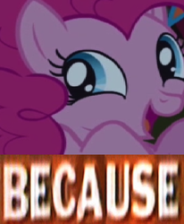 Size: 409x497 | Tagged: safe, pinkie pie, earth pony, pony, g4, because, caption, expand dong, exploitable meme, female, image macro, mare, meme, reaction image, solo, why.jpg