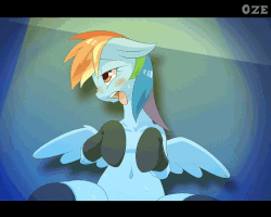 https://derpicdn.net/img/view/2014/8/11/697083__rainbow+dash_explicit_animated_upvotes+galore_belly+button_open+mouth_socks_stockings_on+back_ahegao.gif