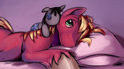Size: 1872x1042 | Tagged: safe, artist:gsphere, big macintosh, smarty pants, earth pony, pony, g4, cute, macabetes, male, pillow, stallion, waking up