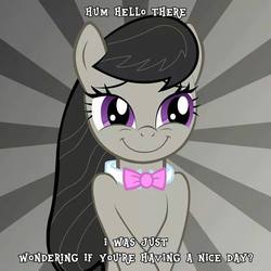 Size: 720x720 | Tagged: source needed, safe, artist:akeel465, octavia melody, earth pony, pony, g4, :i, bronybait, c:, cute, derail in the comments, female, have a nice day, mare, question, smiling, solo, tavibetes, vector