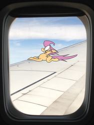 Size: 2448x3264 | Tagged: safe, artist:cinnamonsand, scootaloo, g4, high res, irl, nightmare at 20000 feet, photo, plane, ponies in real life, the twilight zone, this will end in tears and/or death and/or covered in tree sap, this will not end well, tree sap and pine needles, window