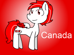 Size: 800x600 | Tagged: safe, artist:astramealone, pony, canada, ponified, solo