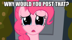 Size: 1054x592 | Tagged: safe, pinkie pie, g4, image macro, meme, why would you post that