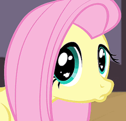 Size: 488x468 | Tagged: safe, screencap, fluttershy, pegasus, pony, filli vanilli, g4, season 4, animated, cute, eye shimmer, female, flutterguy, looking at you, pouting, shyabetes, solo