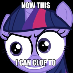 Size: 512x512 | Tagged: safe, twilight sparkle, g4, female, meme, solo, special eyes, text