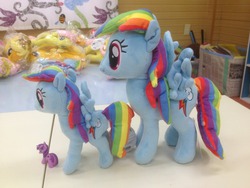 Size: 500x375 | Tagged: safe, rainbow dash, g4, irl, nici, photo, plushie