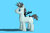 Size: 1024x683 | Tagged: safe, artist:theanimalover, neon lights, rising star, pony, unicorn, g4, male, solo, stallion