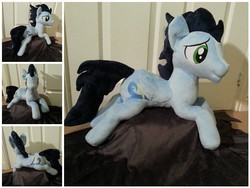 Size: 640x480 | Tagged: safe, artist:penniesponyplushies, soarin', g4, customized toy, irl, photo, plushie