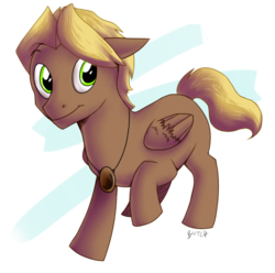 Size: 582x578 | Tagged: safe, artist:theziminvader, oc, oc only, oc:iron heart, pegasus, pony, abstract background, male, pendant, solo