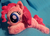 Size: 2052x1470 | Tagged: safe, artist:buttsnstuff, pinkie pie, g4, beanie (plushie), irl, photo, plushie, solo