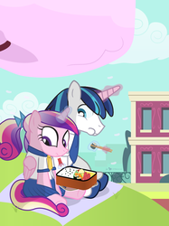 Size: 840x1125 | Tagged: safe, artist:dm29, princess cadance, shining armor, g4, bento, duo, sushi