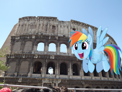 Size: 4288x3216 | Tagged: safe, artist:missbeigepony, rainbow dash, g4, colosseum, irl, italy, photo, ponies in real life, rome, ruins, solo, vector