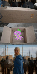 Size: 500x1000 | Tagged: safe, spike, dragon, g4, baby spike, daenerys targaryen, dashie meme, exploitable meme, game of thrones, harsher in hindsight, meme