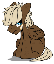 Size: 790x942 | Tagged: safe, artist:dbkit, dumbbell, pegasus, pony, g4, bandaid, beaten up, blank flank, colt, crying, male, scratches, simple background, solo, transparent background