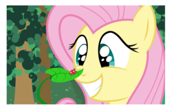 Size: 6173x4000 | Tagged: safe, artist:plsim, fluttershy, ladybug, pegasus, pony, g4, absurd resolution, cute, daaaaaaaaaaaw, female, mare, shyabetes, vector