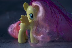 Size: 6000x4000 | Tagged: safe, artist:explonova, fluttershy, g4, brushable, irl, photo, photography, solo, toy