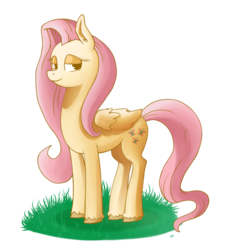 Size: 3181x3504 | Tagged: safe, artist:raph13th, fluttershy, g4, female, high res, solo