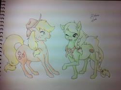 Size: 960x717 | Tagged: safe, artist:araiden, applejack, granny smith, earth pony, pony, g4, duo, traditional art, younger