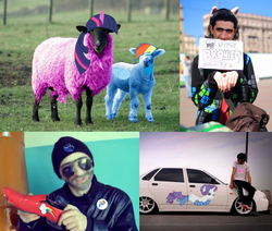 Size: 1217x1034 | Tagged: safe, nightmare moon, rainbow dash, rarity, twilight sparkle, human, sheep, g4, brony, car, dagestan, irl, irl human, lada 110, photo, russia, vaz, wat