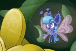 Size: 1500x1000 | Tagged: safe, artist:heir-of-rick, oc, oc only, oc:sapphire lollipop, breezie, coin, impossibly large ears, solo