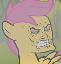 Size: 591x619 | Tagged: safe, edit, scootaloo, g4, male, meme, rage face, solo