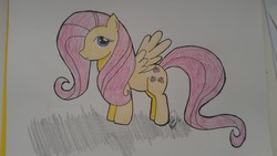 Size: 3264x1840 | Tagged: safe, artist:tali17, fluttershy, g4, female, solo, traditional art