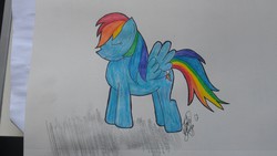 Size: 3264x1840 | Tagged: safe, artist:tali17, rainbow dash, g4, female, solo, traditional art