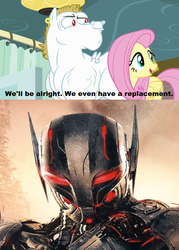 Size: 640x896 | Tagged: safe, bulk biceps, fluttershy, robot, g4, my little pony: friendship is magic, rainbow falls, avengers: age of ultron, exploitable meme, marvel, marvel cinematic universe, marvel comics, meme, replacement meme, ultron