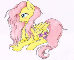 Size: 768x622 | Tagged: safe, artist:klarapl, fluttershy, pegasus, pony, g4, female, folded wings, looking down, profile, prone, simple background, solo, traditional art